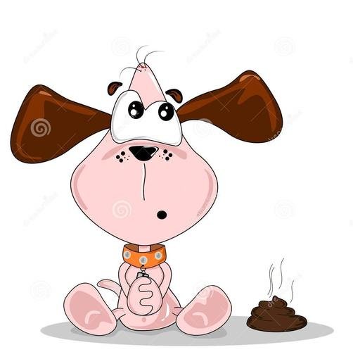 Pet Damage When You Don’t Own the Property – Does Non-Owner Landlord Insurance Cover It?